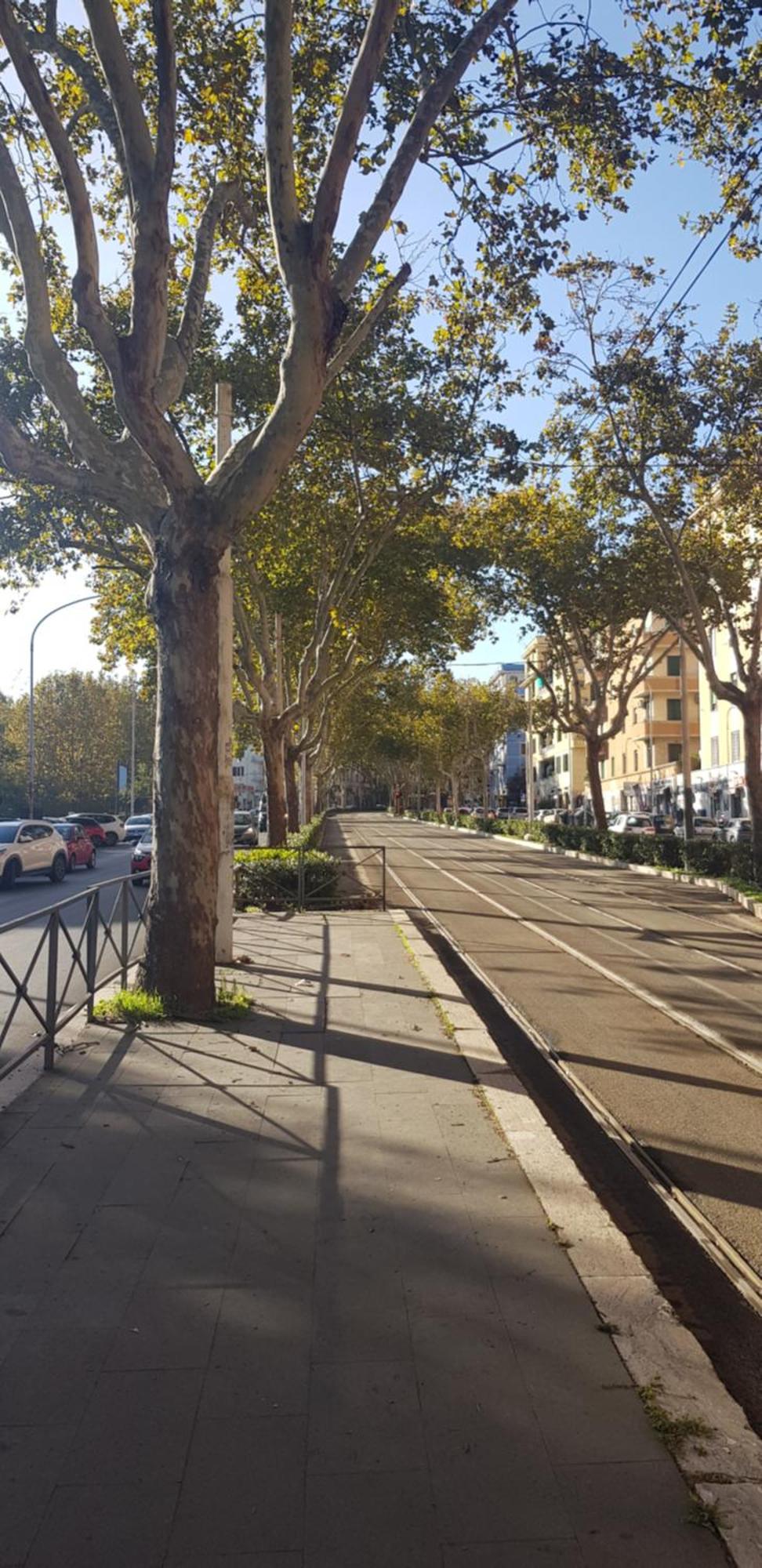 Trastevere Residenze Roma Ngoại thất bức ảnh